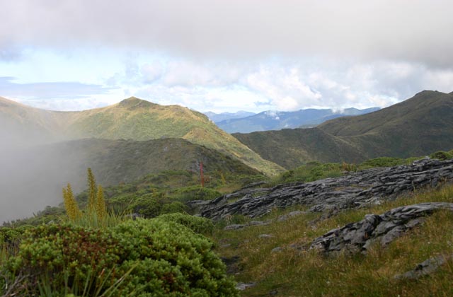 Flora saddle - Kahurangi